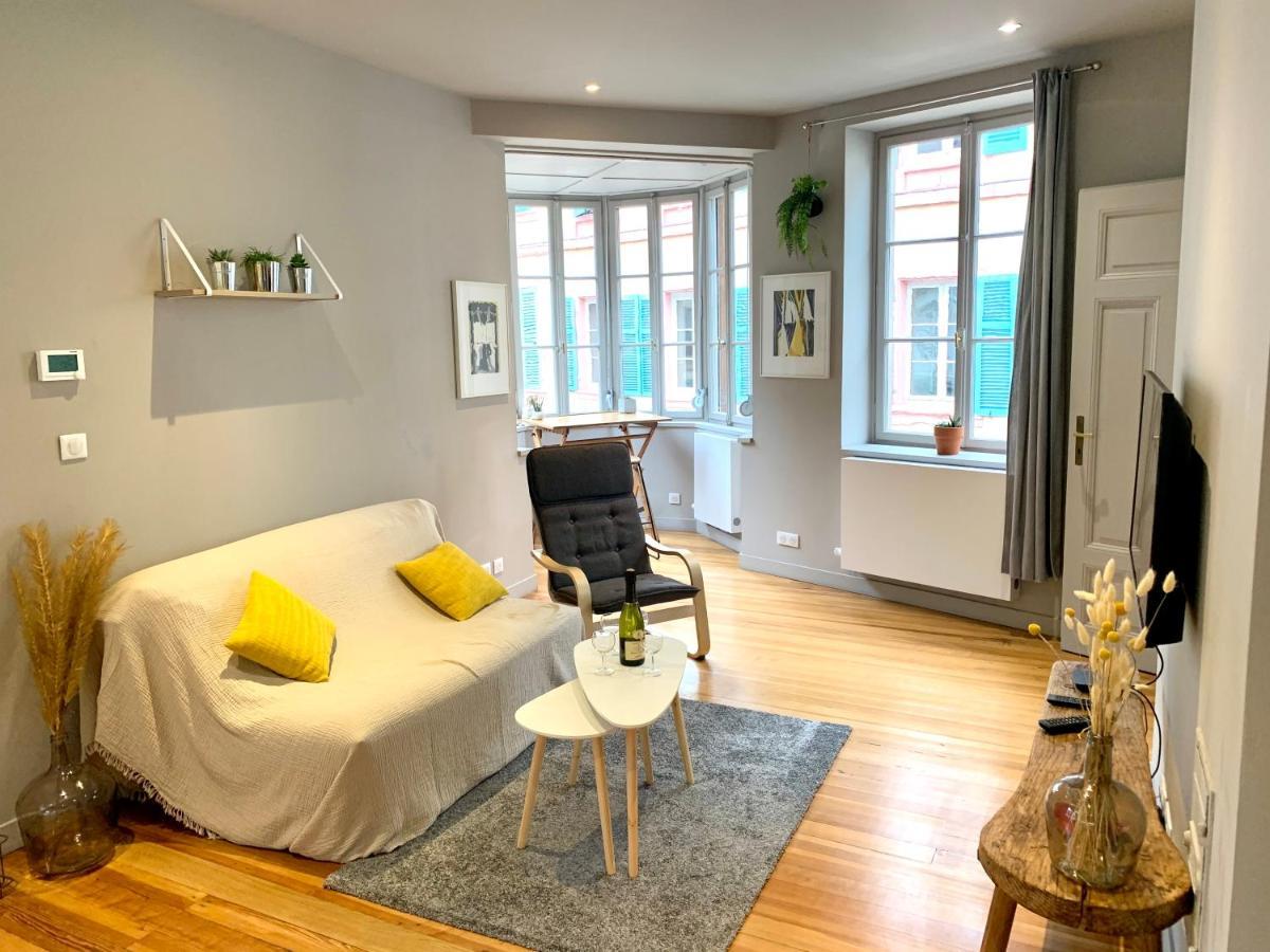 Appartement Hyper-Centre קולמר מראה חיצוני תמונה