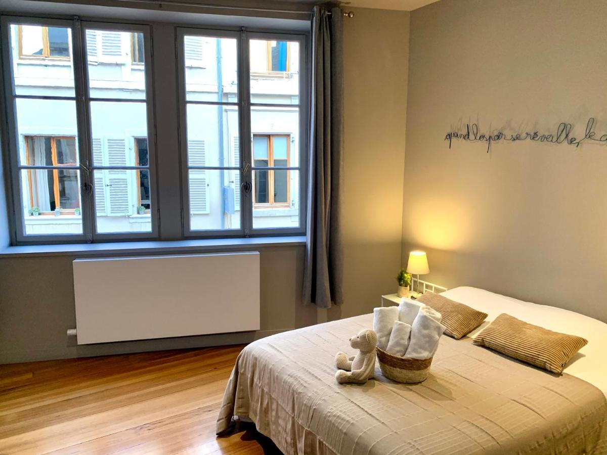 Appartement Hyper-Centre קולמר מראה חיצוני תמונה